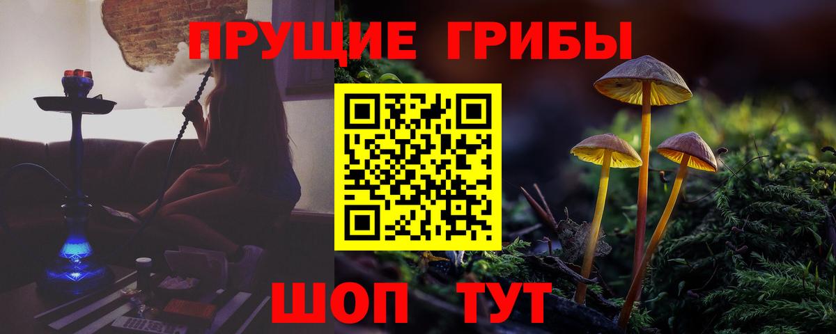 Псилоцибиновые грибы MAGIC MUSHROOMS Сызрань